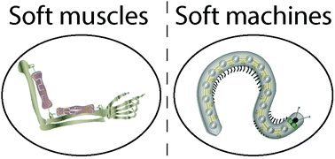 Graphical abstract: Shape memory materials for electrically-powered soft machines