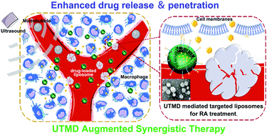 Graphical abstract: Ultrasound-targeted microbubble destruction augmented synergistic therapy of rheumatoid arthritis via targeted liposomes