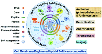 Graphical abstract: Cell membrane-engineered hybrid soft nanocomposites for biomedical applications