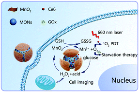 Graphical abstract: A multifunctional oxygen-producing MnO2-based nanoplatform for tumor microenvironment-activated imaging and combination therapy in vitro