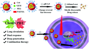 Graphical abstract: pH and singlet oxygen dual-responsive GEM prodrug micelles for efficient combination therapy of chemotherapy and photodynamic therapy