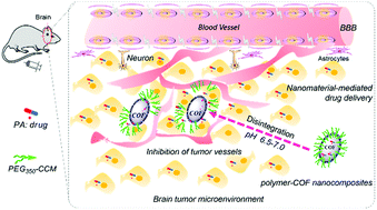 Graphical abstract: Thin platelet-like COF nanocomposites for blood brain barrier transport and inhibition of brain metastasis from renal cancer