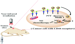 Graphical abstract: Ag@S-nitrosothiol core–shell nanoparticles for chemo and photothermal synergistic tumor targeted therapy