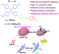 Graphical abstract: Pyridinium-substituted tetraphenylethylene salt-based photosensitizers by varying counter anions: a highly efficient photodynamic therapy for cancer cell ablation and bacterial inactivation