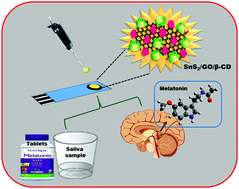 Graphical abstract: Tin disulfide–graphene oxide-β-cyclodextrin mediated electro-oxidation of melatonin hormone: an efficient platform for electrochemical sensing