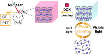 Graphical abstract: NIR-responsive reversible phase transition of supramolecular hydrogels for tumor treatment