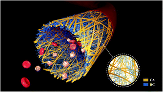 Graphical abstract: Controllable synthesis of biomimetic nano/submicro-fibrous tubes for potential small-diameter vascular grafts