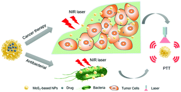 Graphical abstract: Recent advances in MoS2-based photothermal therapy for cancer and infectious disease treatment