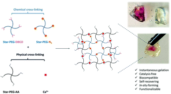 Graphical abstract: Self-recovering dual cross-linked hydrogels based on bioorthogonal click chemistry and ionic interactions