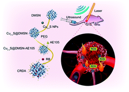 Graphical abstract: Photonic hyperthermal and sonodynamic nanotherapy targeting oral squamous cell carcinoma