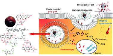 Graphical abstract: Supramolecular magnetonanohybrids for multimodal targeted therapy of triple-negative breast cancer cells