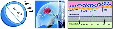 Graphical abstract: Nanosized drug-eluting bead for transcatheter arterial chemoembolization (ND-TACE)