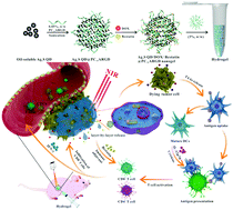 Graphical abstract: Injectable polypeptide-engineered hydrogel depot for amplifying the anti-tumor immune effect induced by chemo-photothermal therapy