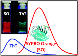 Graphical abstract: SYPRO Orange – a new gold standard amyloid probe