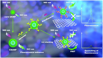 Graphical abstract: Aptamer-modified sensitive nanobiosensors for the specific detection of antibiotics