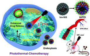 Graphical abstract: Facile synthesis of hollow mesoporous nickel sulfide nanoparticles for highly efficient combinatorial photothermal–chemotherapy of cancer