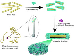 Graphical abstract: A silk-based high impact composite for the core decompression of the femoral head