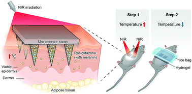 Graphical abstract: An accurate and dual-effective body slimming method through a soluble microneedle patch with variable temperature