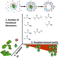 Graphical abstract: Polymer composition primarily determines the protein recognition characteristics of molecularly imprinted hydrogels