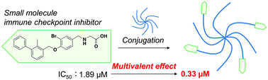 Graphical abstract: Conjugation of biphenyl groups with poly(ethylene glycol) to enhance inhibitory effects on the PD-1/PD-L1 immune checkpoint interaction