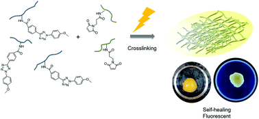 Graphical abstract: Light-driven assembly of biocompatible fluorescent chitosan hydrogels with self-healing ability