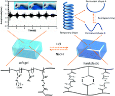 Graphical abstract: A pH controlled temperature response reprogramming hydrogel for monitoring human electrophysiological signals