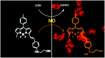 Graphical abstract: Rapid and sensitive detection of nitric oxide by a BODIPY-based fluorescent probe in live cells: glutathione effects