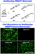 Graphical abstract: A trade-off between antifouling and the electrochemical stabilities of PEDOTs