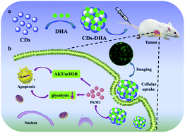 Graphical abstract: Supramolecular hybrids of carbon dots and dihydroartemisinin for enhanced anticancer activity and mechanism analysis