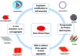 Graphical abstract: Supramolecular ensembles modified by near-infrared dyes and their biological applications