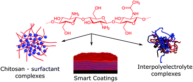 Graphical abstract: Chitosan-based smart hybrid materials: a physico-chemical perspective