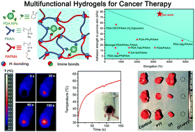 Graphical abstract: Bioinspired tissue-compliant hydrogels with multifunctions for synergistic surgery–photothermal therapy