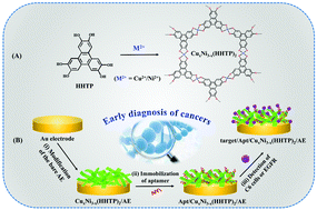 Graphical abstract: Semiconducting CuxNi3−x(hexahydroxytriphenylene)2 framework for electrochemical aptasensing of C6 glioma cells and epidermal growth factor receptor