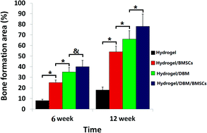 Graphical abstract: A bone regeneration strategy via dual delivery of demineralized bone matrix powder and hypoxia-pretreated bone marrow stromal cells using an injectable self-healing hydrogel