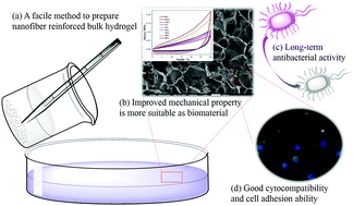 Graphical abstract: Nanofiber-reinforced bulk hydrogel: preparation and structural, mechanical, and biological properties