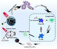Graphical abstract: Core–shell FePt-cube@covalent organic polymer nanocomposites: a multifunctional nanocatalytic agent for primary and metastatic tumor treatment