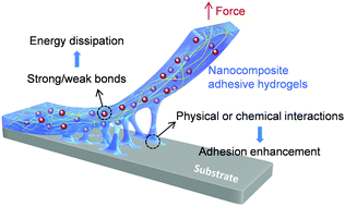 Graphical abstract: Nanocomposite adhesive hydrogels: from design to application