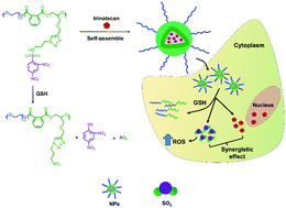 Graphical abstract: A PEGylated alternating copolymeric prodrug of sulfur dioxide with glutathione responsiveness for Irinotecan delivery