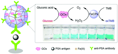 Graphical abstract: Cascade amplified colorimetric immunoassay based on an integrated multifunctional composite with catalytic coordination polymers for prostate specific antigen detection