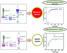 Graphical abstract: Entrapment and release kinetics study of dyes from BSA microspheres forming a matrix and a reservoir system