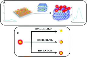 Graphical abstract: Ratiometric sensors with selective fluorescence enhancement effects based on photonic crystals for the determination of acetylcholinesterase and its inhibitor