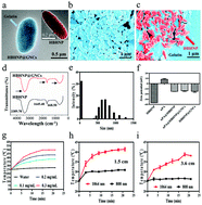 Graphical abstract: Human hair derived uPA loaded capsules with dual near-infrared (I and II biowindows) laser responsive capabilities for multi-effective thrombolysis therapy