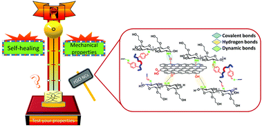 Graphical abstract: Self-healing and mechanical performance of dynamic glycol chitosan hydrogel nanocomposites