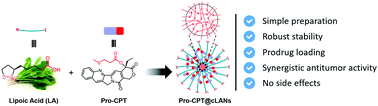 Graphical abstract: Cross-linked (R)-(+)-lipoic acid nanoparticles with prodrug loading for synergistic cancer therapy