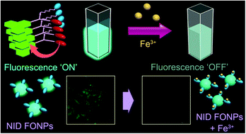Graphical abstract: Naphthalimide based fluorescent organic nanoparticles in selective sensing of Fe3+ and as a diagnostic probe for Fe2+/Fe3+ transition