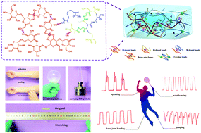Graphical abstract: An amylopectin-enabled skin-mounted hydrogel wearable sensor