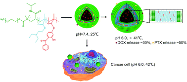 Graphical abstract: Dual-responsive polymersomes as anticancer drug carriers for the co-delivery of doxorubicin and paclitaxel