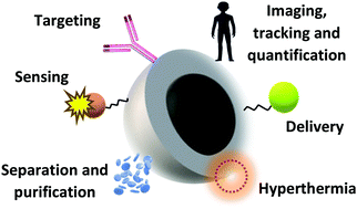 Graphical abstract: Magnetic triggers in biomedical applications – prospects for contact free cell sensing and guidance