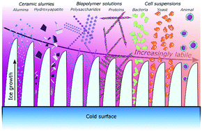 Graphical abstract: Recent advances in ice templating: from biomimetic composites to cell culture scaffolds and tissue engineering