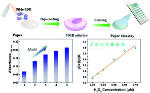 Graphical abstract: Ultrathin NiMn layered double hydroxide nanosheets with a superior peroxidase mimicking performance to natural HRP for disposable paper-based bioassays